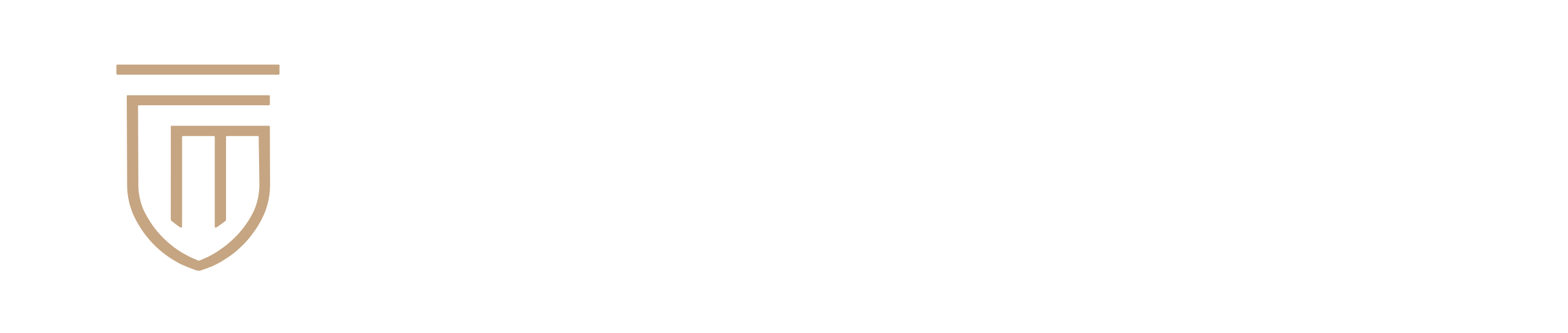 Logo Luciano Mattos Advocacia e Consultoria